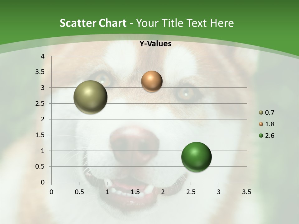 A Brown And White Dog With A Green Background PowerPoint Template