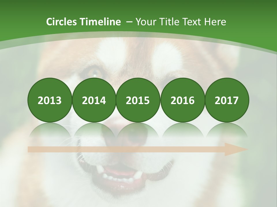 A Brown And White Dog With A Green Background PowerPoint Template