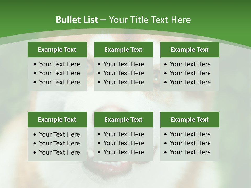 A Brown And White Dog With A Green Background PowerPoint Template