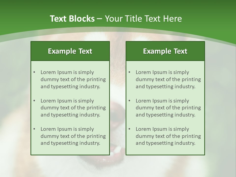 A Brown And White Dog With A Green Background PowerPoint Template