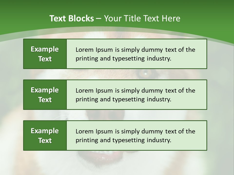 A Brown And White Dog With A Green Background PowerPoint Template