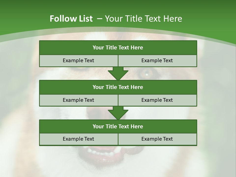 A Brown And White Dog With A Green Background PowerPoint Template