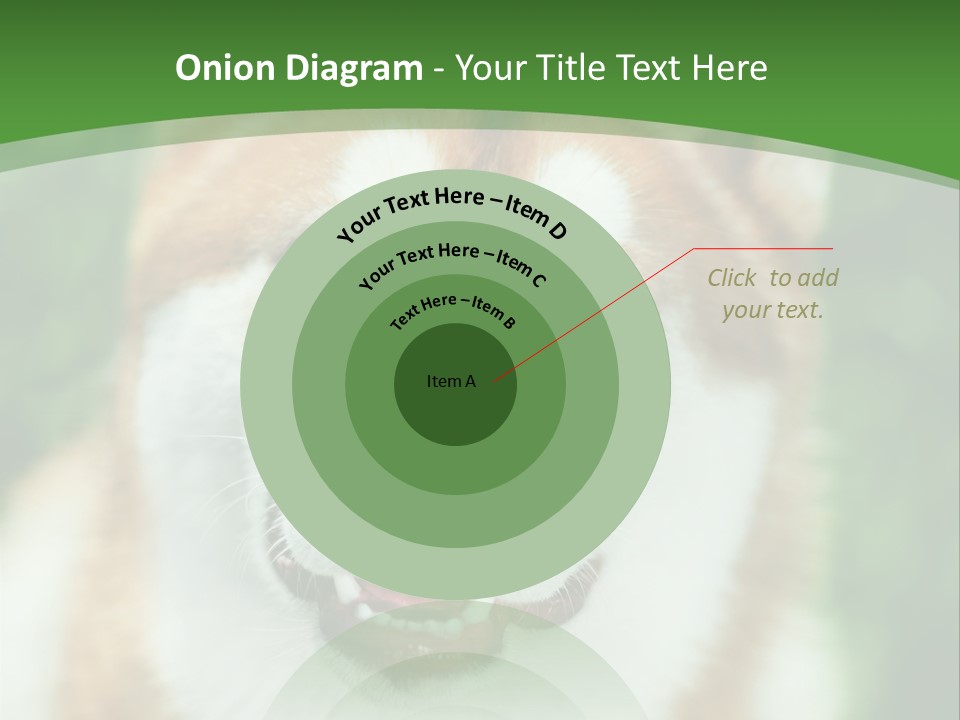 A Brown And White Dog With A Green Background PowerPoint Template