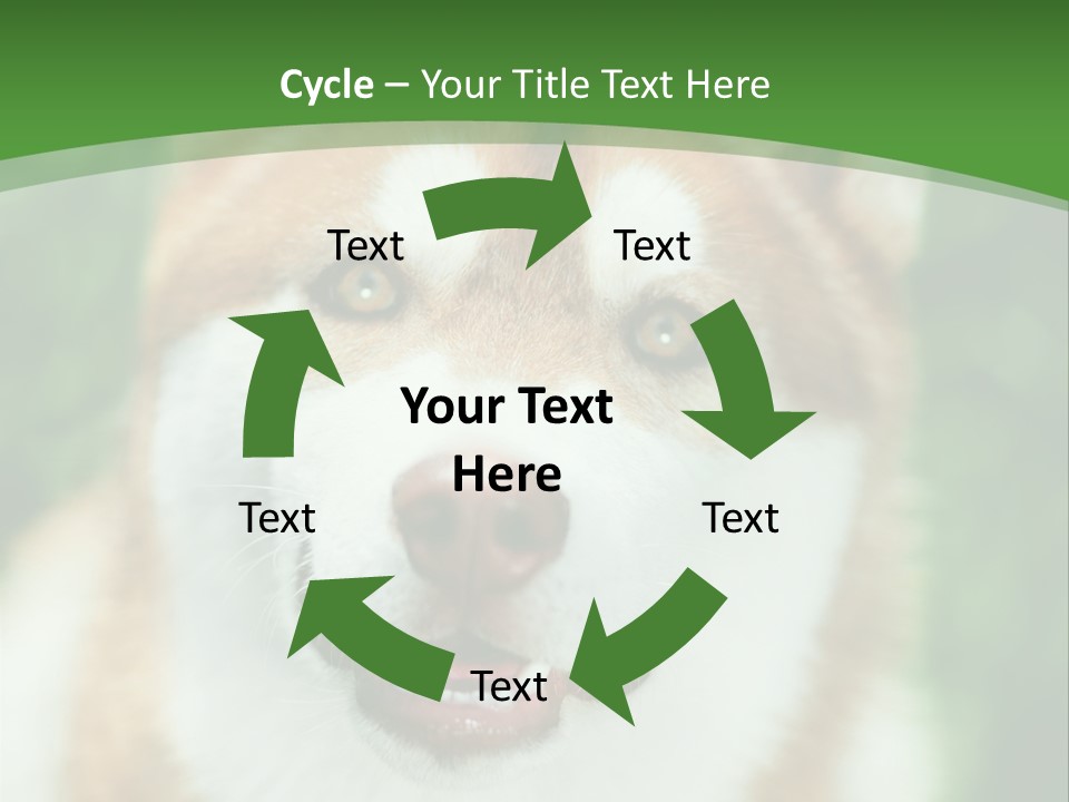 A Brown And White Dog With A Green Background PowerPoint Template