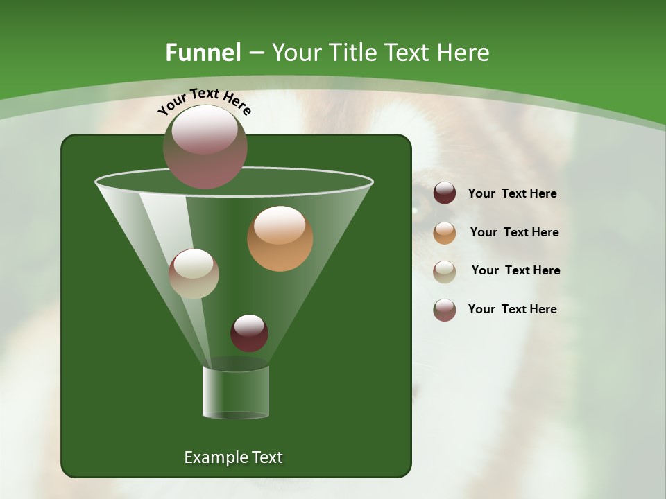 A Brown And White Dog With A Green Background PowerPoint Template