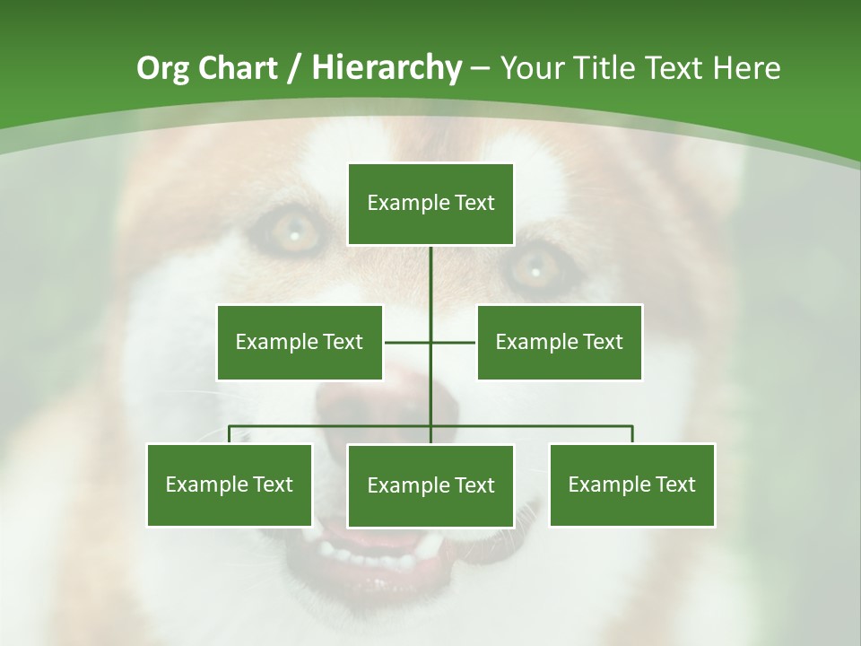 A Brown And White Dog With A Green Background PowerPoint Template