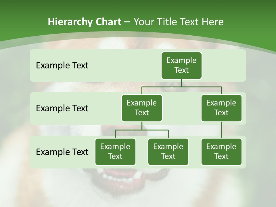A Brown And White Dog With A Green Background PowerPoint Template
