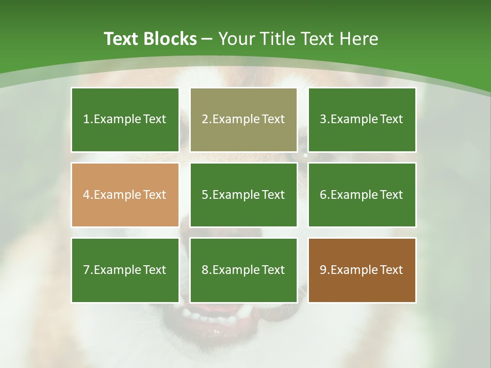 A Brown And White Dog With A Green Background PowerPoint Template