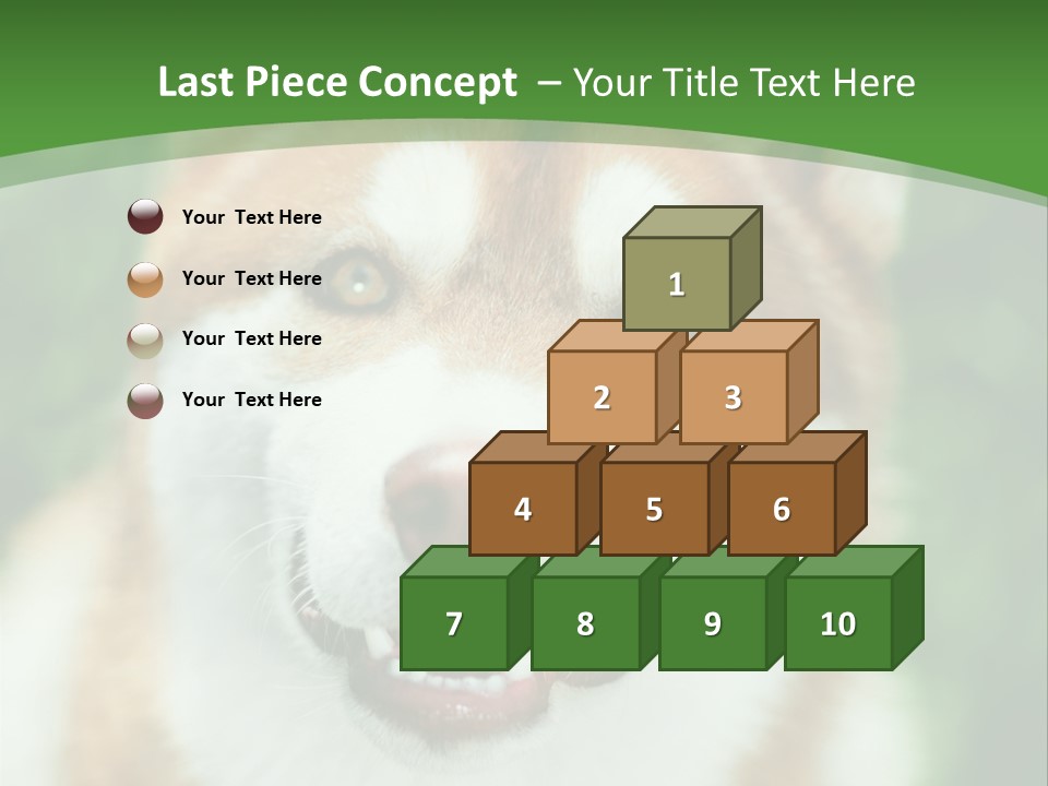 A Brown And White Dog With A Green Background PowerPoint Template