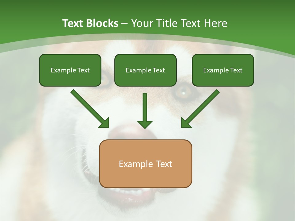 A Brown And White Dog With A Green Background PowerPoint Template
