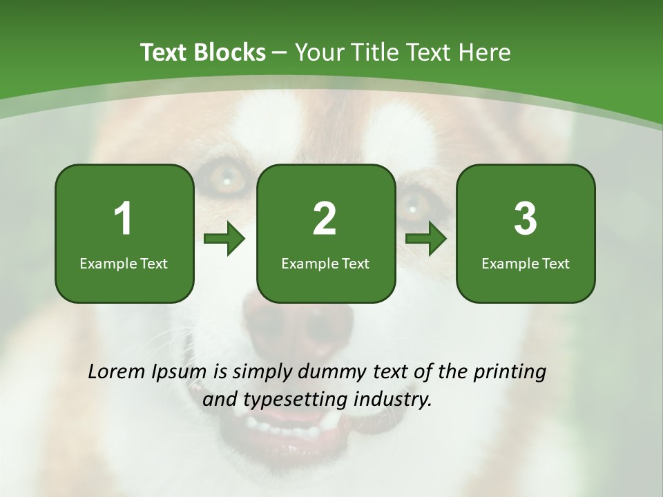 A Brown And White Dog With A Green Background PowerPoint Template