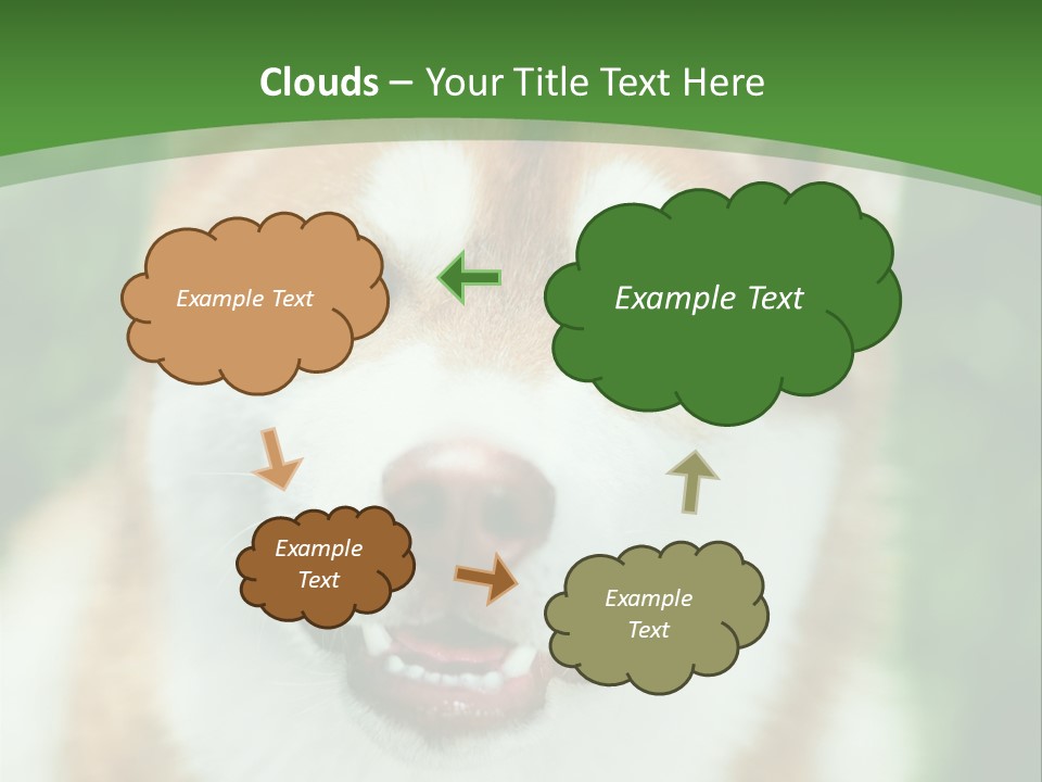 A Brown And White Dog With A Green Background PowerPoint Template