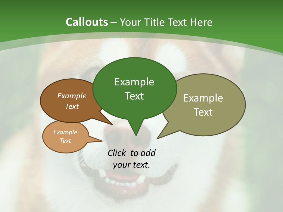A Brown And White Dog With A Green Background PowerPoint Template