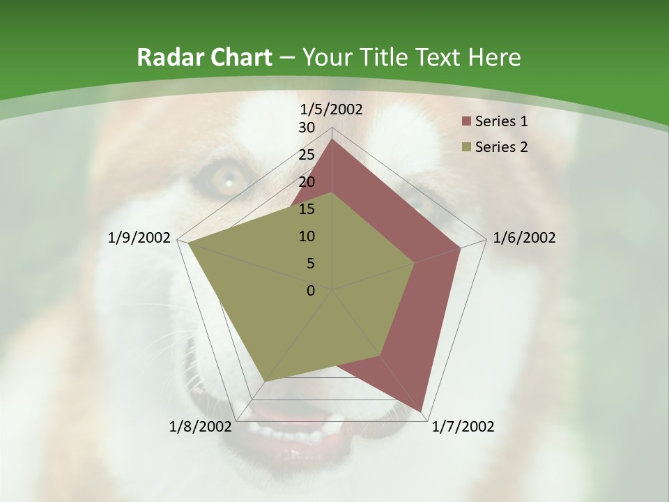A Brown And White Dog With A Green Background PowerPoint Template