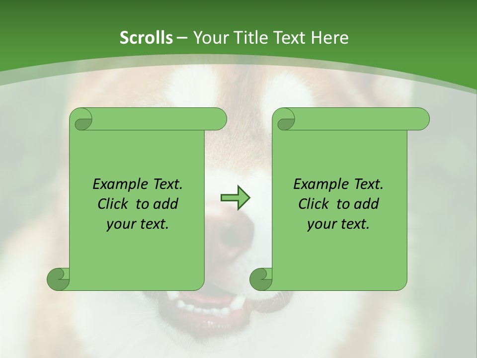 A Brown And White Dog With A Green Background PowerPoint Template
