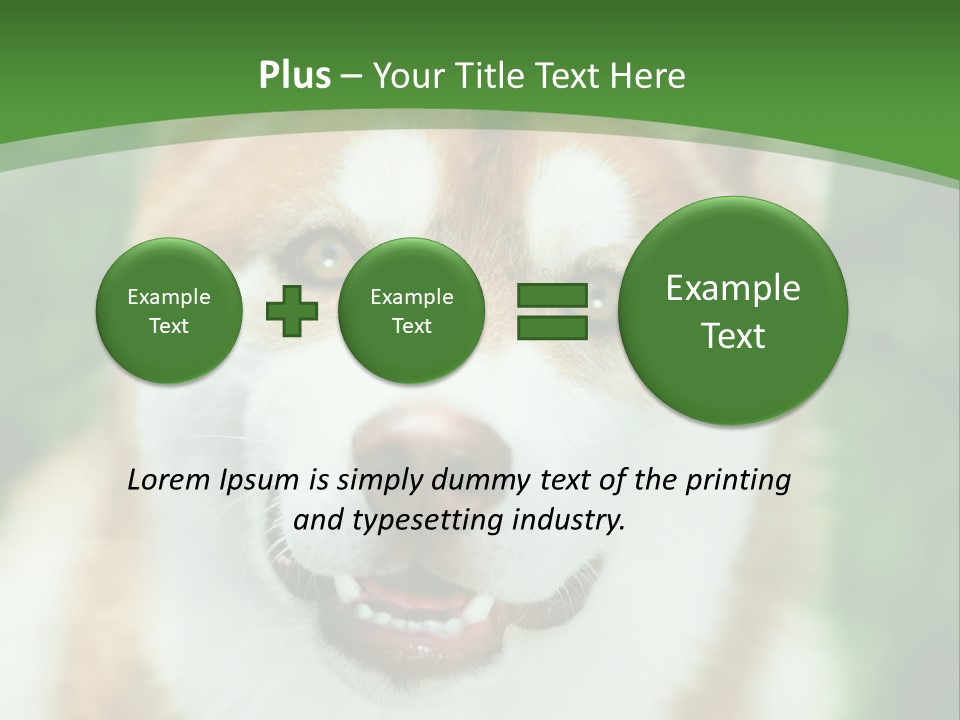 A Brown And White Dog With A Green Background PowerPoint Template