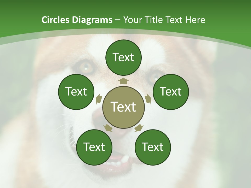 A Brown And White Dog With A Green Background PowerPoint Template