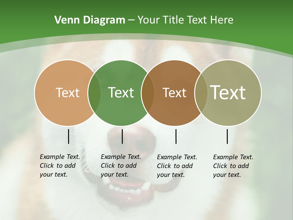 A Brown And White Dog With A Green Background PowerPoint Template