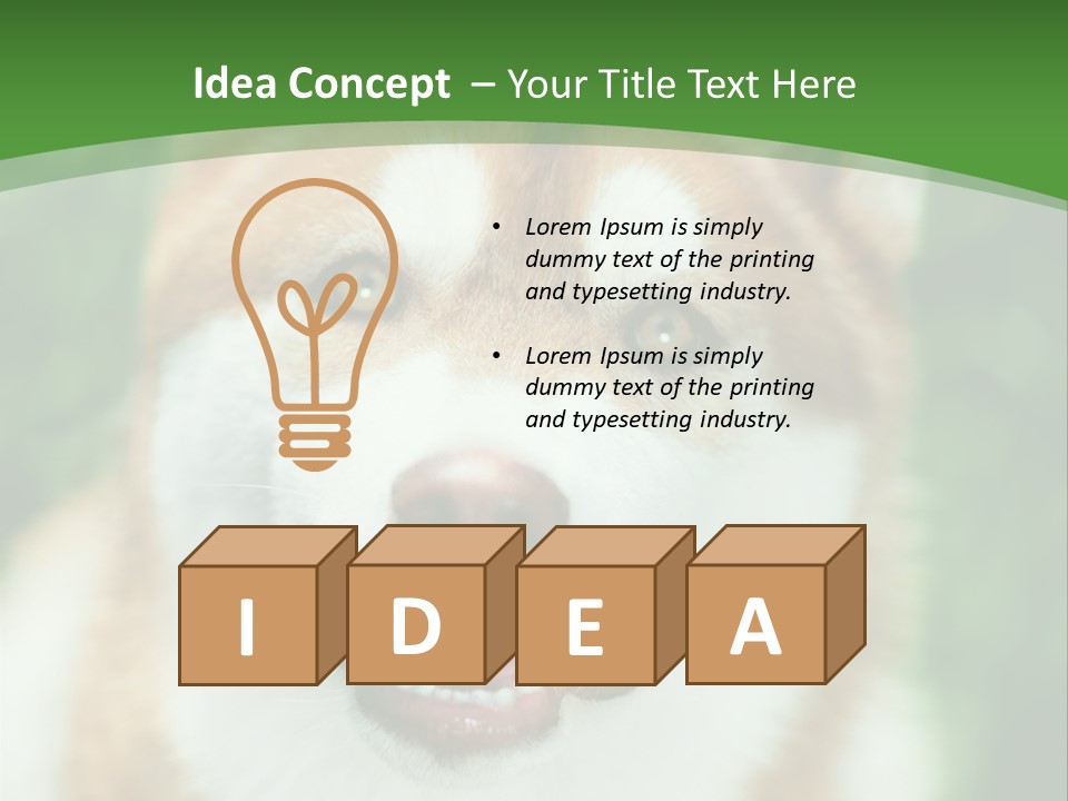 A Brown And White Dog With A Green Background PowerPoint Template
