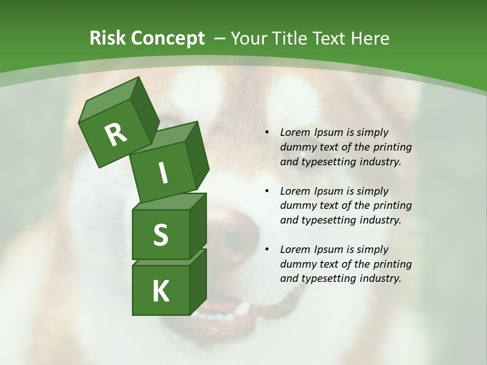 A Brown And White Dog With A Green Background PowerPoint Template