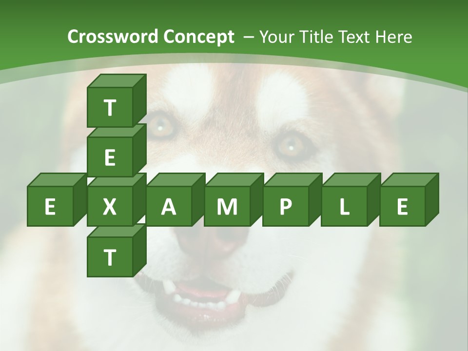 A Brown And White Dog With A Green Background PowerPoint Template