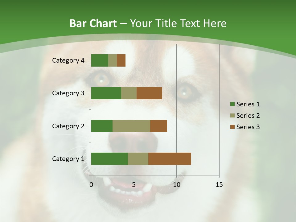 A Brown And White Dog With A Green Background PowerPoint Template