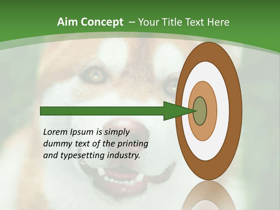 A Brown And White Dog With A Green Background PowerPoint Template