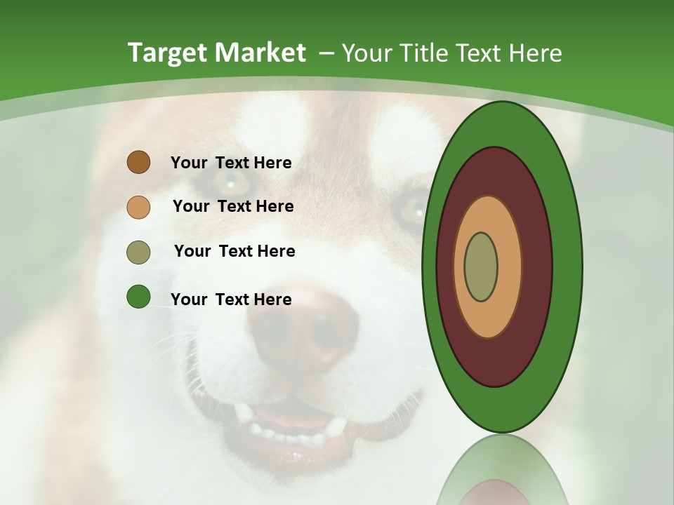 A Brown And White Dog With A Green Background PowerPoint Template