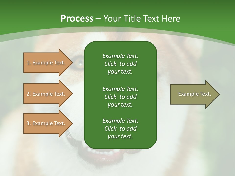 A Brown And White Dog With A Green Background PowerPoint Template
