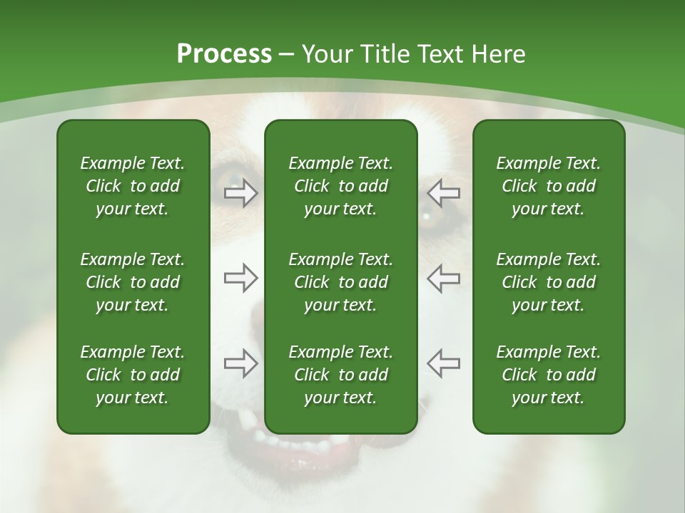 A Brown And White Dog With A Green Background PowerPoint Template