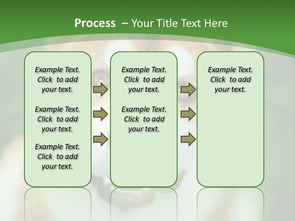 A Brown And White Dog With A Green Background PowerPoint Template