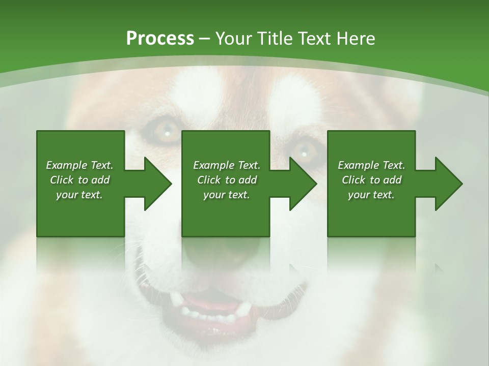 A Brown And White Dog With A Green Background PowerPoint Template