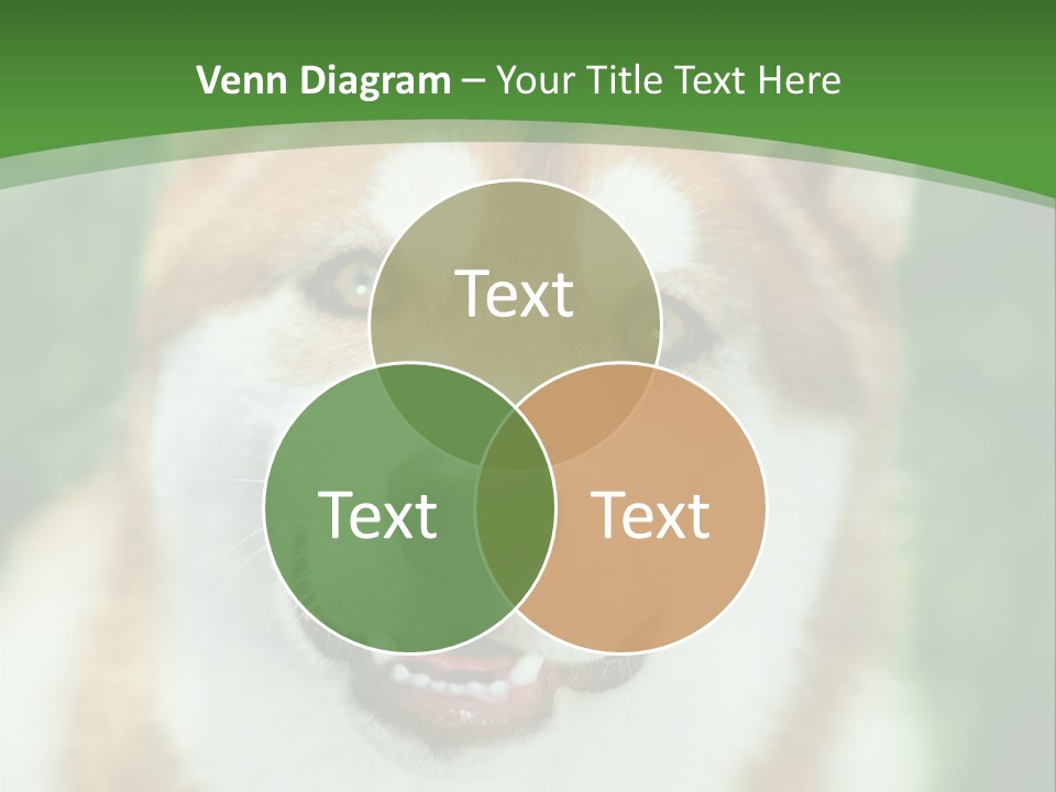 A Brown And White Dog With A Green Background PowerPoint Template