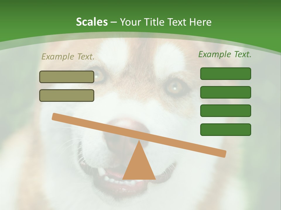A Brown And White Dog With A Green Background PowerPoint Template