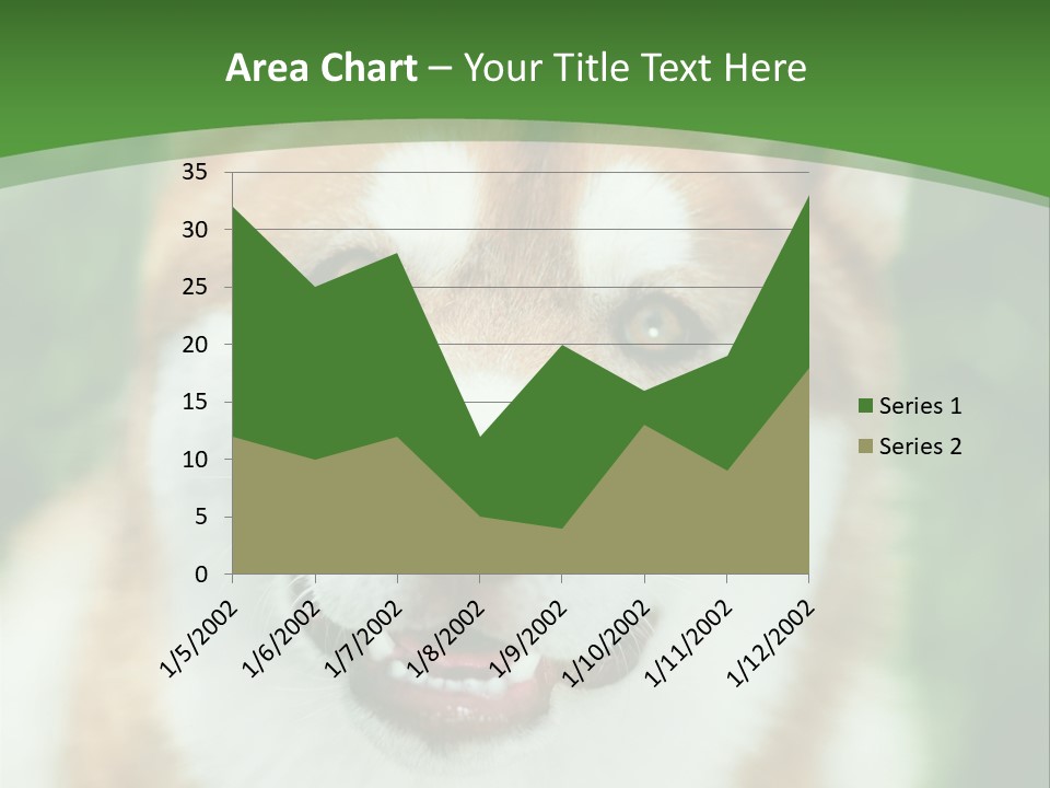 A Brown And White Dog With A Green Background PowerPoint Template