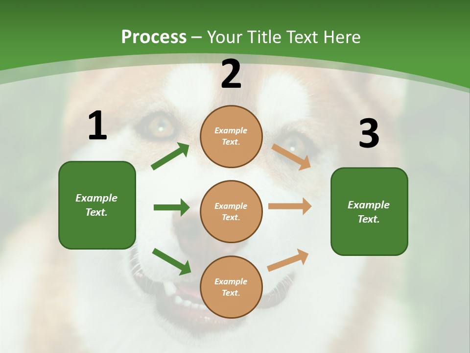 A Brown And White Dog With A Green Background PowerPoint Template