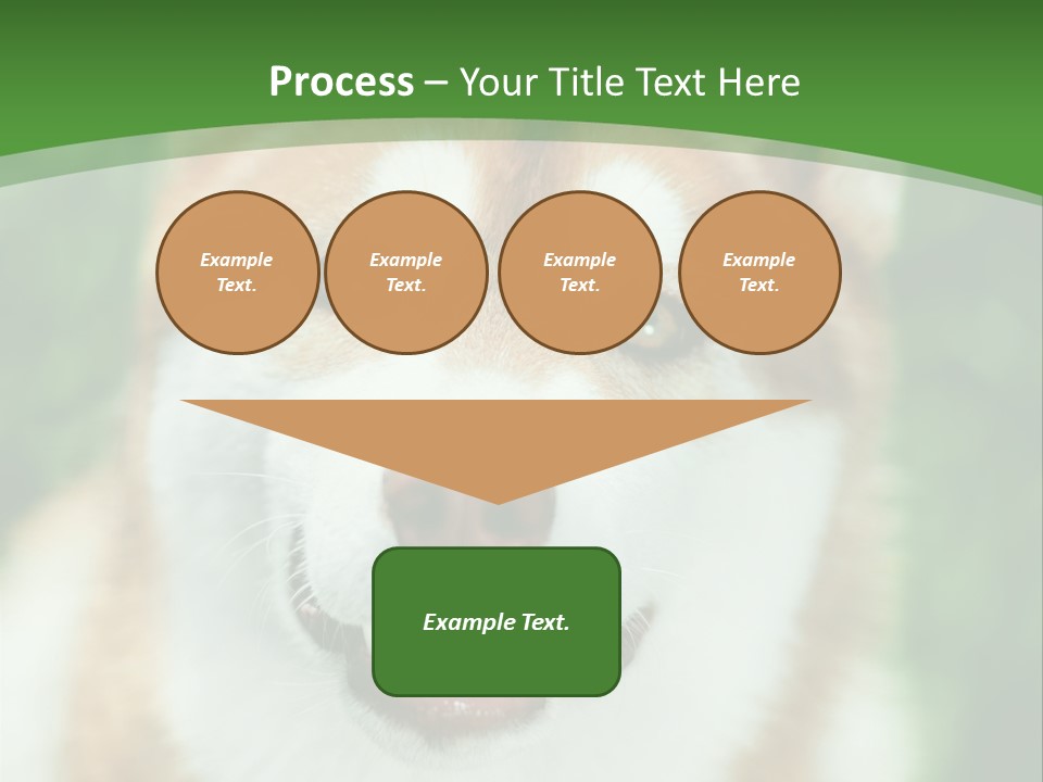 A Brown And White Dog With A Green Background PowerPoint Template