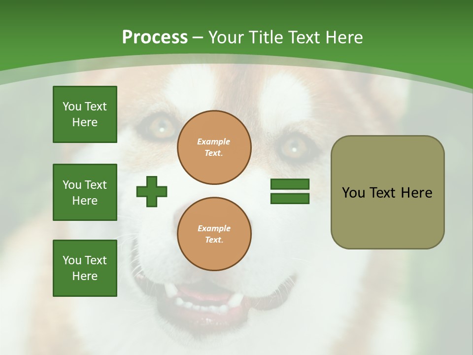 A Brown And White Dog With A Green Background PowerPoint Template
