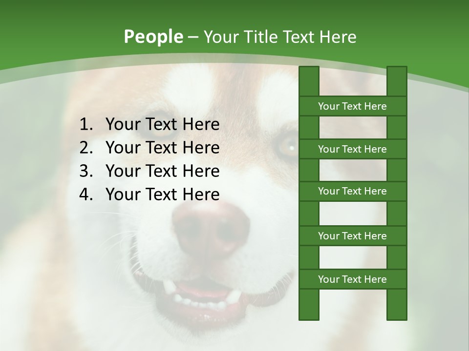 A Brown And White Dog With A Green Background PowerPoint Template