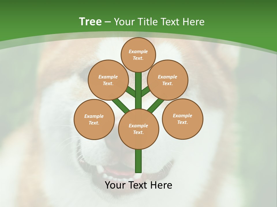 A Brown And White Dog With A Green Background PowerPoint Template