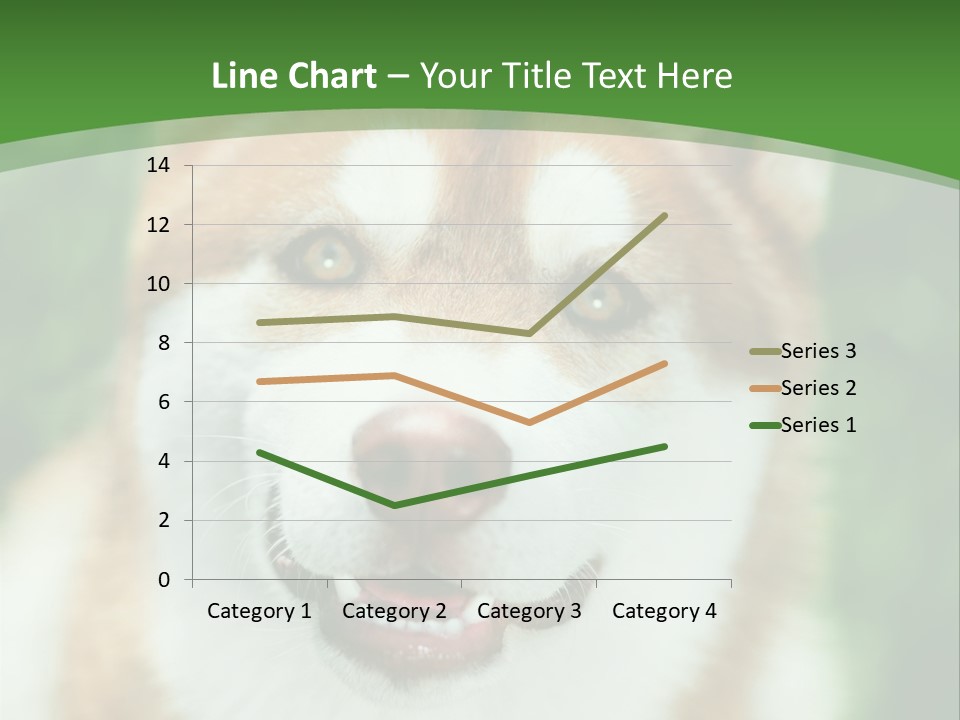 A Brown And White Dog With A Green Background PowerPoint Template