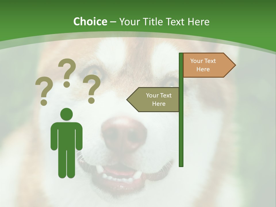 A Brown And White Dog With A Green Background PowerPoint Template