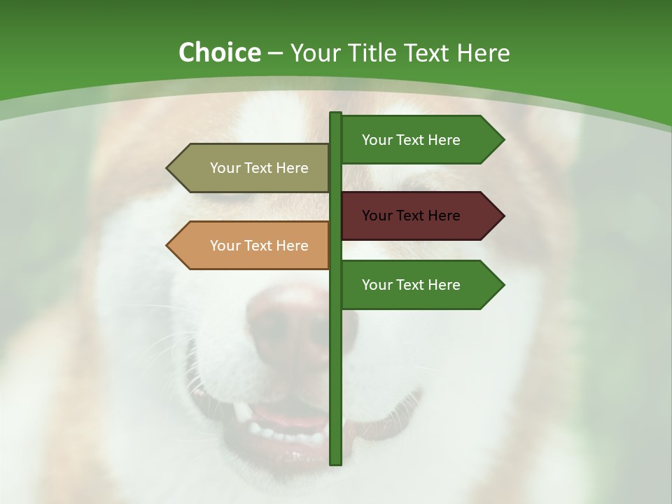 A Brown And White Dog With A Green Background PowerPoint Template
