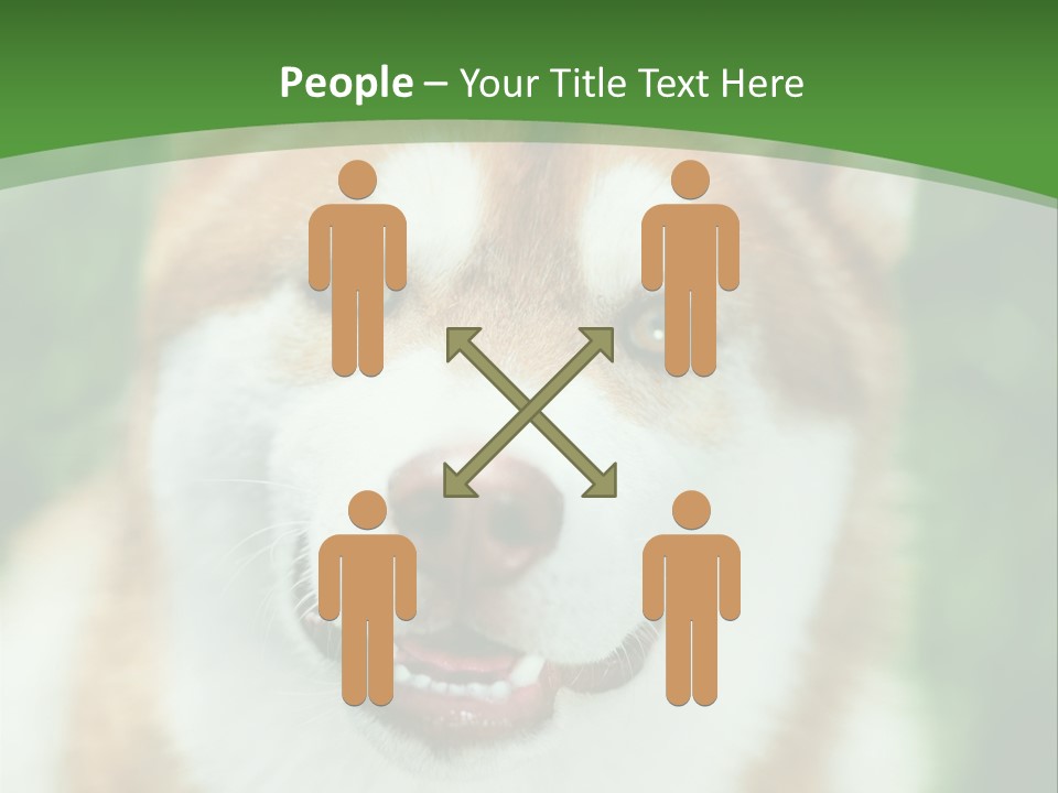 A Brown And White Dog With A Green Background PowerPoint Template