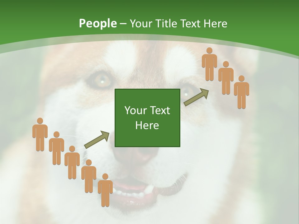 A Brown And White Dog With A Green Background PowerPoint Template