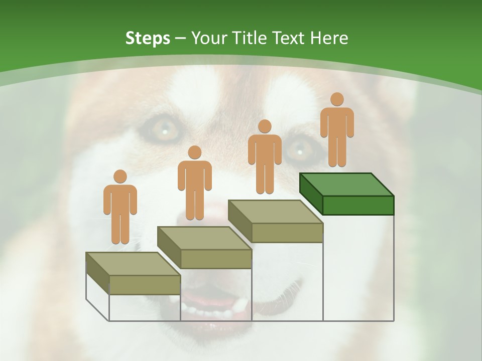 A Brown And White Dog With A Green Background PowerPoint Template