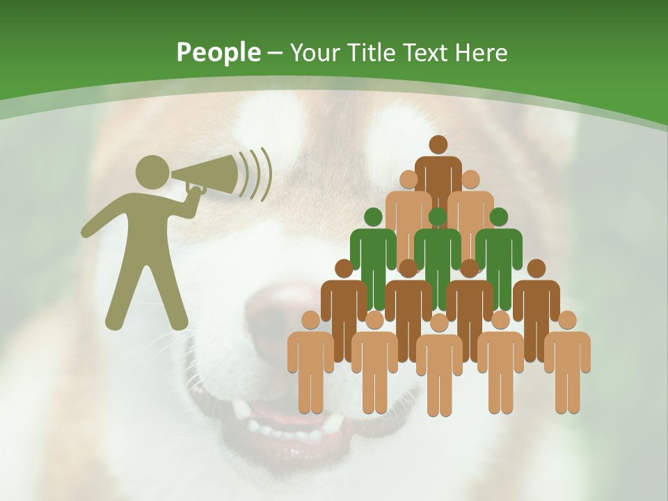 A Brown And White Dog With A Green Background PowerPoint Template