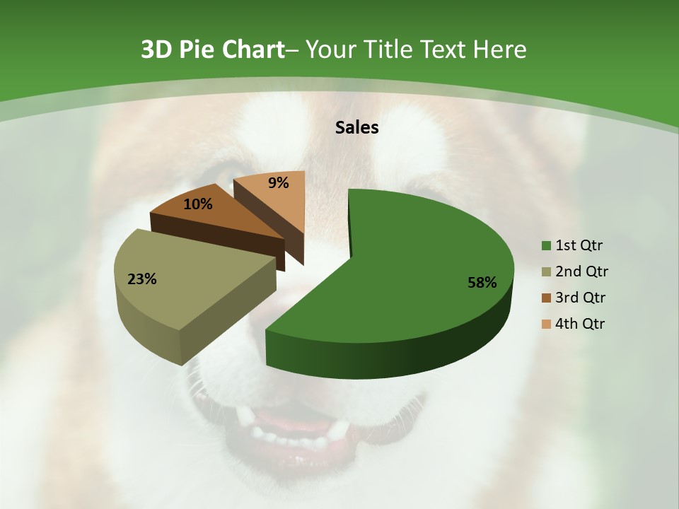 A Brown And White Dog With A Green Background PowerPoint Template