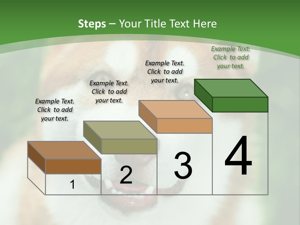 A Brown And White Dog With A Green Background PowerPoint Template