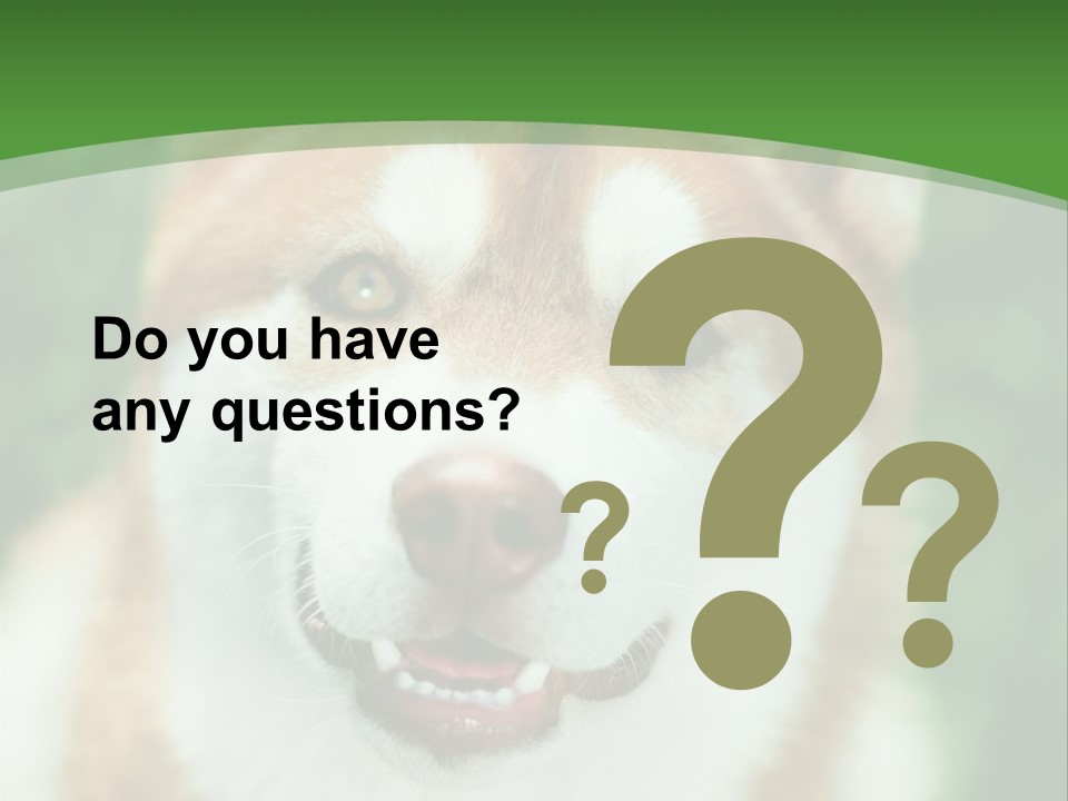 A Brown And White Dog With A Green Background PowerPoint Template
